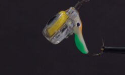 POLAR STAR MIXED COLOUR